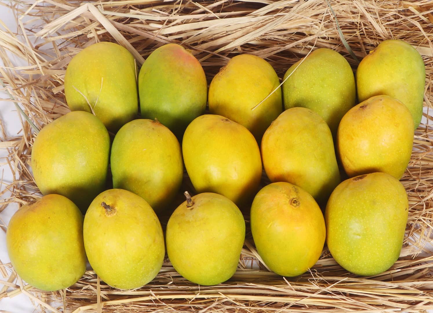 Valsadi Alphonso Mango - Color: Green Light Yellow