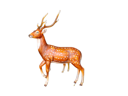 Frp Deer Statue - Color: Brown
