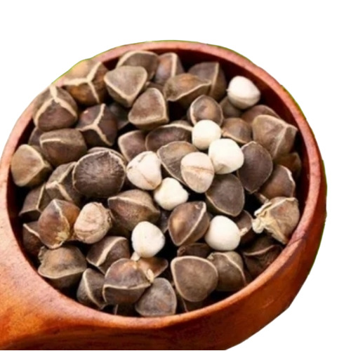 Organic Moringa Seeds