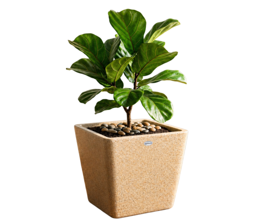 Rotomoulding Garden Planters - Color: White