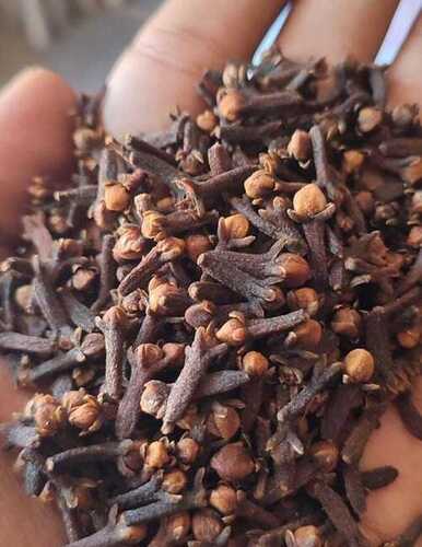 Cloves - Color: Brown