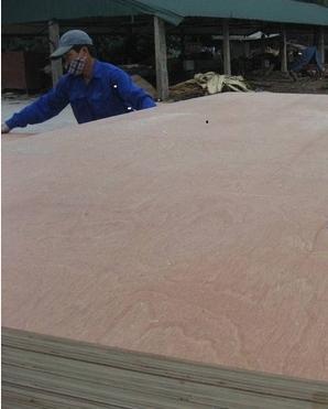 Commercial Plywood