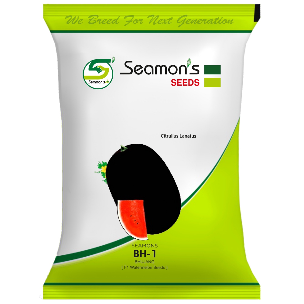 Watermelon Seed - Large Fruit Weight Up to 12kg, Dark Red Flesh with TSS 12-12.5 and Excellent Transport Quality