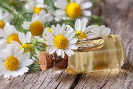 Chamomile Roman Oil