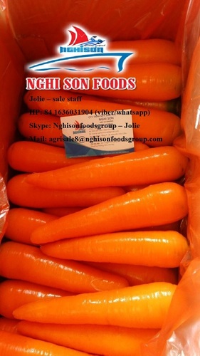 Fresh Carrot By Nghi Son Food Jsc & Nghi Son Aquatic Products Exim., Ltd