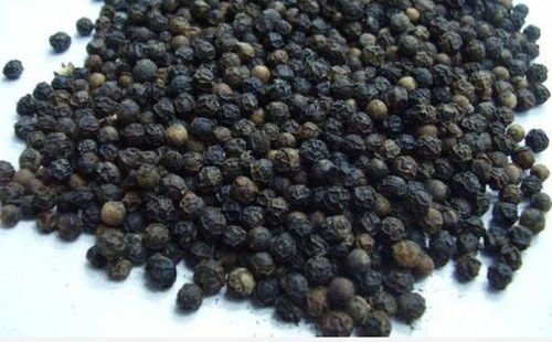 Top Quality Fresh Black Pepper