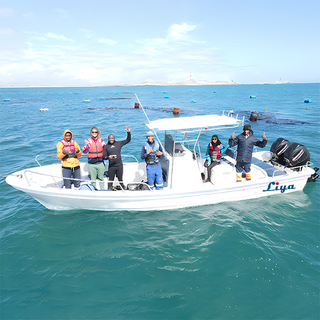 Liya Fiberglass Fishing Boat - 6.6m Length, 2.27m Width | Capacity 930kg, 7 Seats, OEM Service Available