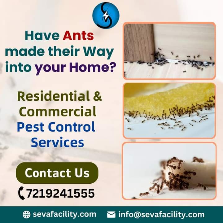 Ants Pest Control Services For Residential And Commercial Place