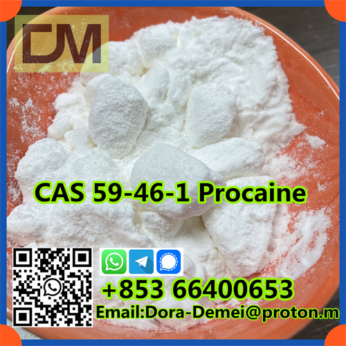 High purity Procaine with attractive price from China supplier CAS 59-46-1