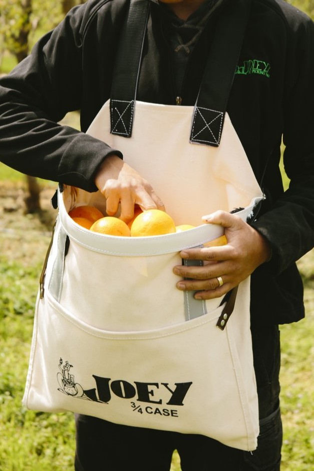Fruit Picking Bag - Color: Whtie
