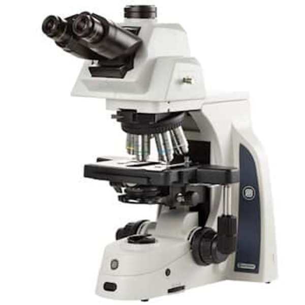 Euromax trinocular Biological microscope