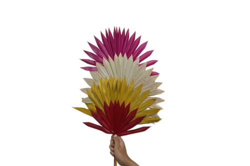 Palm Leaf
