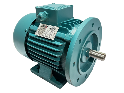 Vertical Induction Motor - Features: Good Quality
