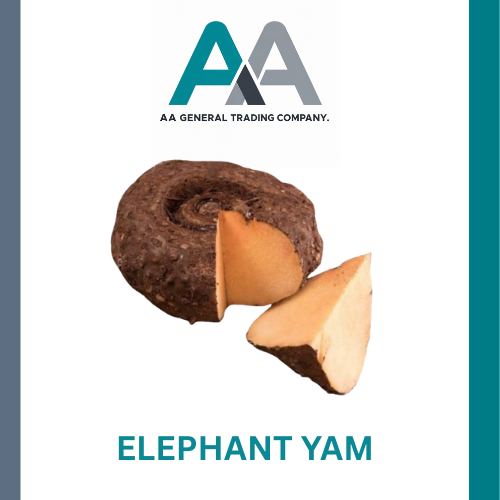 Elephant Yam - Age Group: Suitable For All