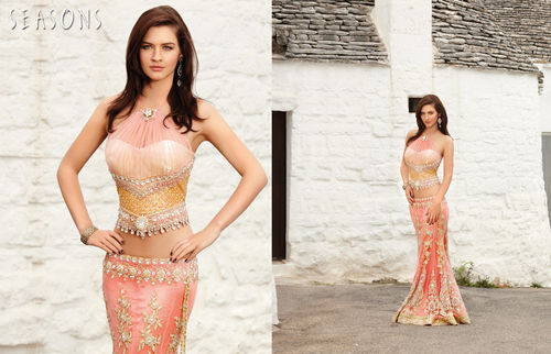 Wedding Lehenga Choli