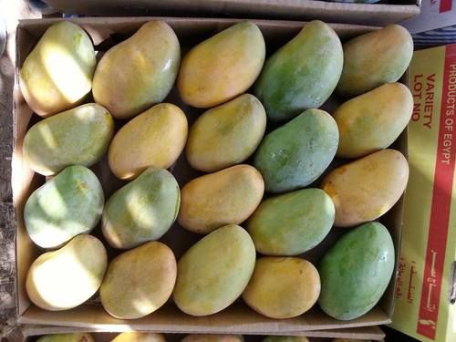 Fresh And Juicy Mango