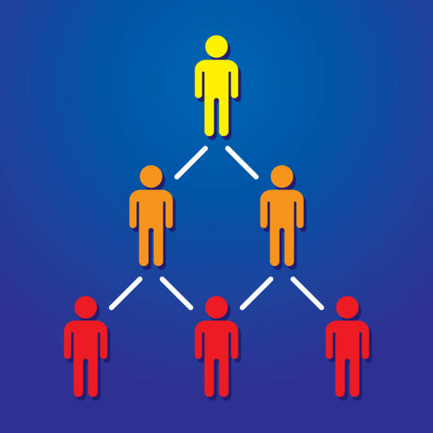 MLM Software Developing Services
