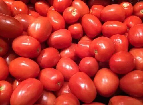 A Grade Indian Origin Commonly Cultivated 99.99% Pure Fresh Red Tomatoes Moisture (%): 1479.5%