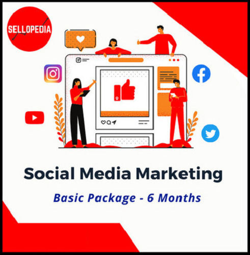 Stainless Steel Social Media Marketing 6 Months Basic Package Services