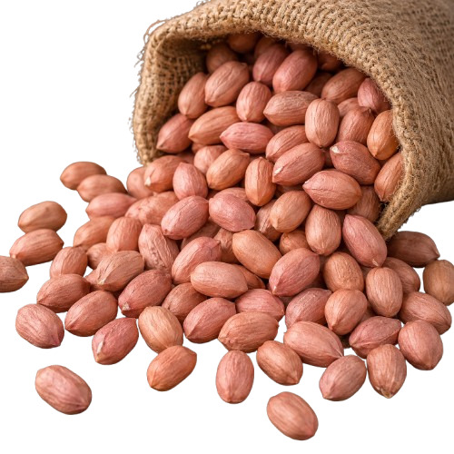 Tj Peanut Kernels Hps - Broken (%): 1-2%