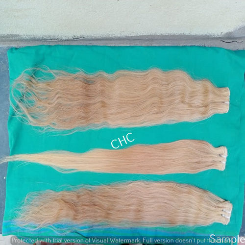 100% Human Virgin Cuticle Aligned Machine Weft Hair Application: Profesional