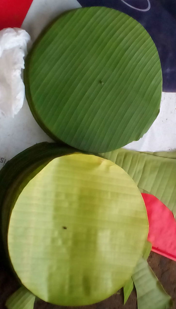Banana Leaf Round Shape Cutting at Best Price in Chennai Anitha Exports
