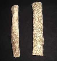 Fish Skin Roll