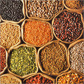 Pulses