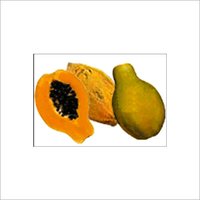 PAPAYA PULP