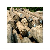 Indian Teak Wood Timber
