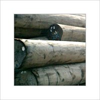 Malaysian Sal Wood Timber