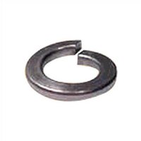 Single Coil Spring Washer