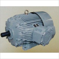 ELECTRIC MOTOR
