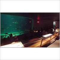 Aesthetic Design Fresh Water Aquariums