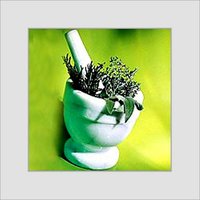 Medicinal Plants