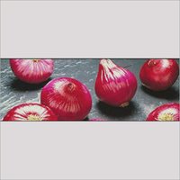Onion