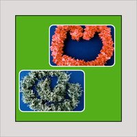 Flower Strings