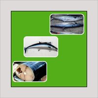 Fresh Chilled Fish
