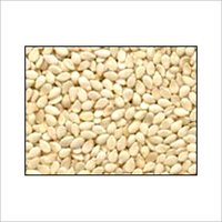 High Grade White Sesame Seed