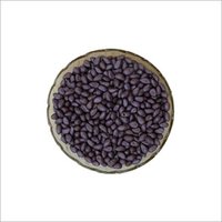 Seed Coat Violet