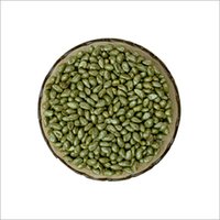 Seed Coat Yellow