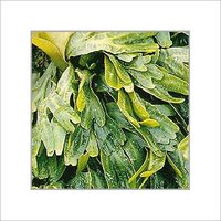 Sea Weed Extract