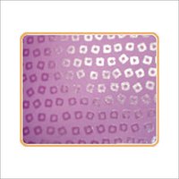 Gel Print Paper