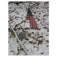 Wet Ground Mica