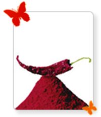 Kashmiri Chilli