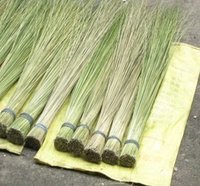 Hard Broom
