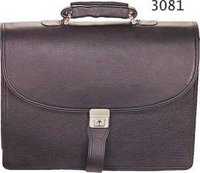 Designer Portfolio Bag
