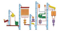 Cattle Feed Plants