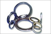 External Lip Seals