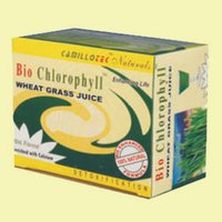 Green Drinks - Biochlorophyll